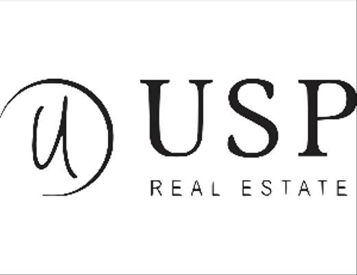 USP REAL ESTATE